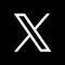 公式X
